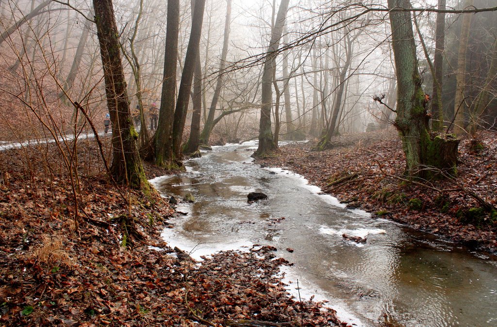 img00033.jpg