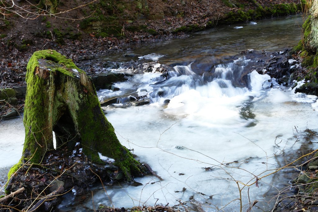 img00042.jpg