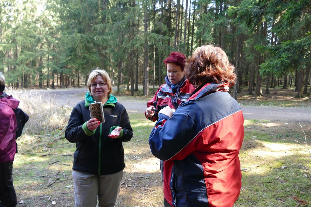 img00032.jpg