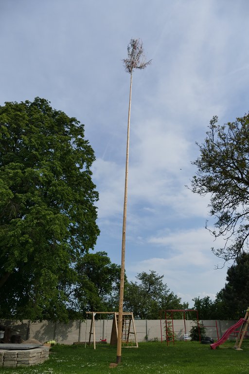 img00004.jpg