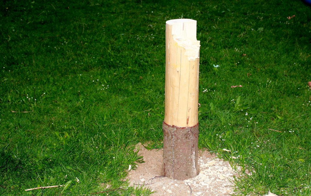 img00070.jpg