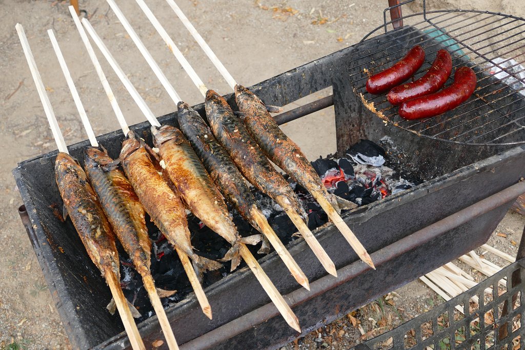 img00135.jpg