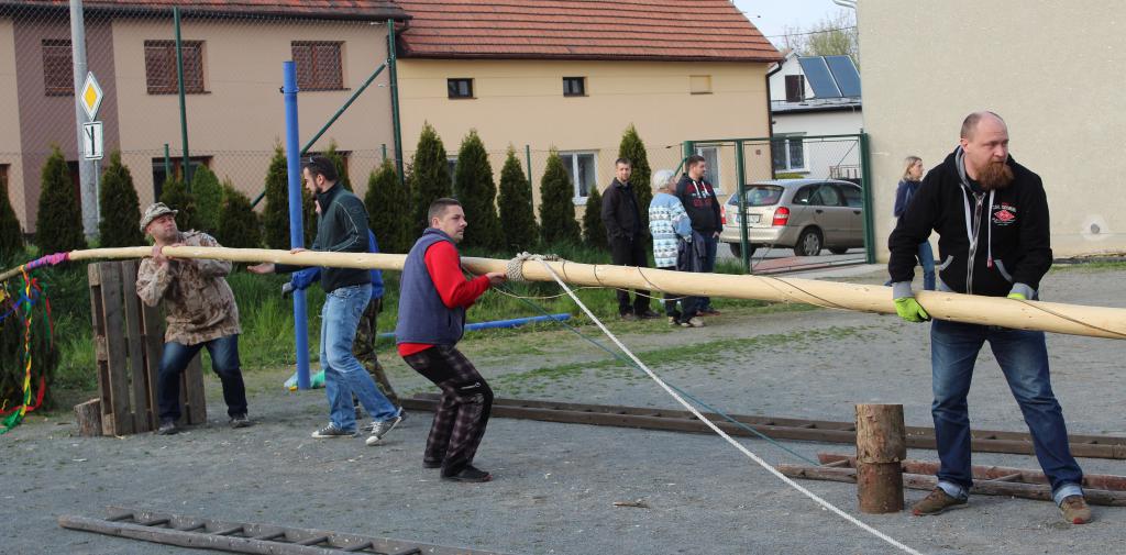 img00031.jpg