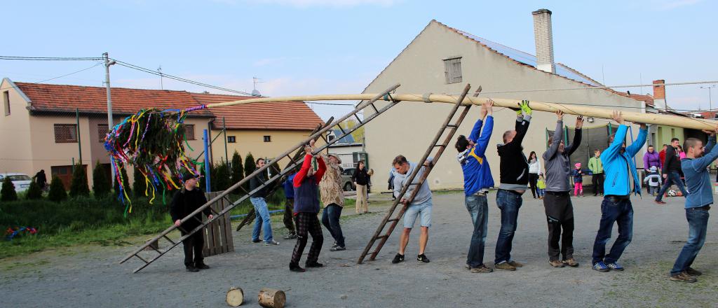 img00036.jpg