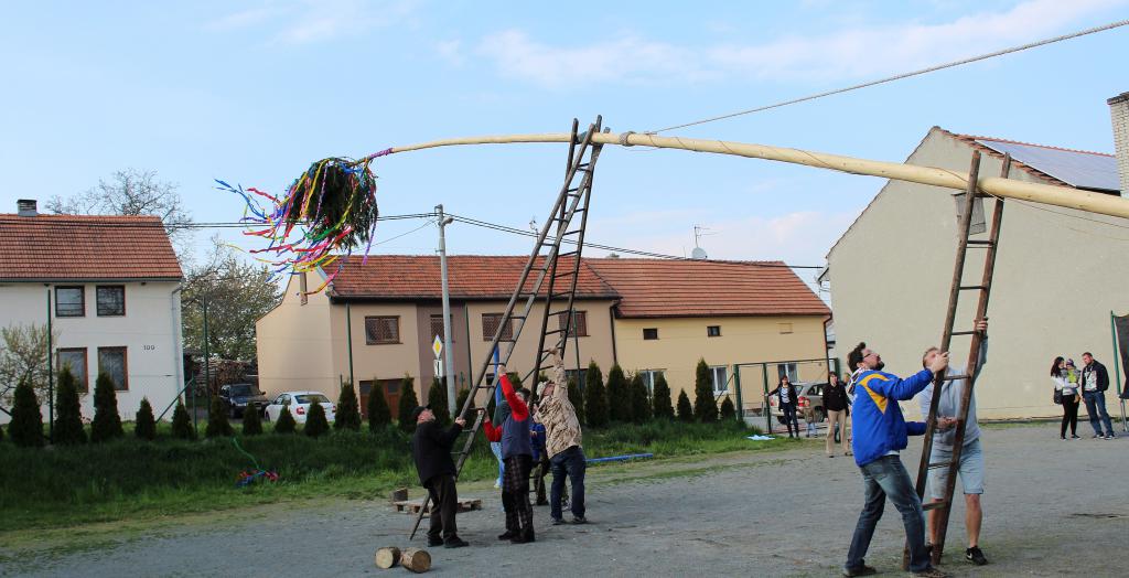 img00041.jpg