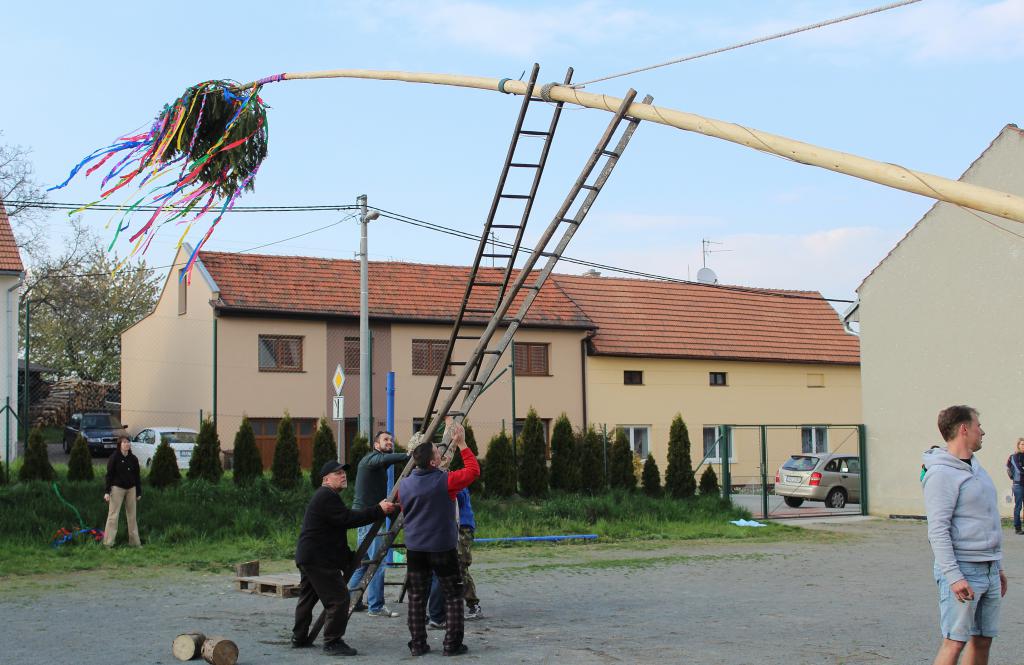 img00044.jpg