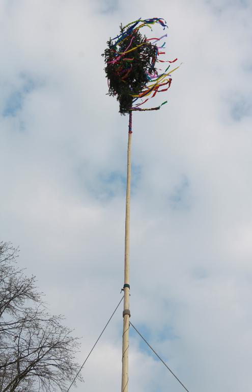 img00060.jpg