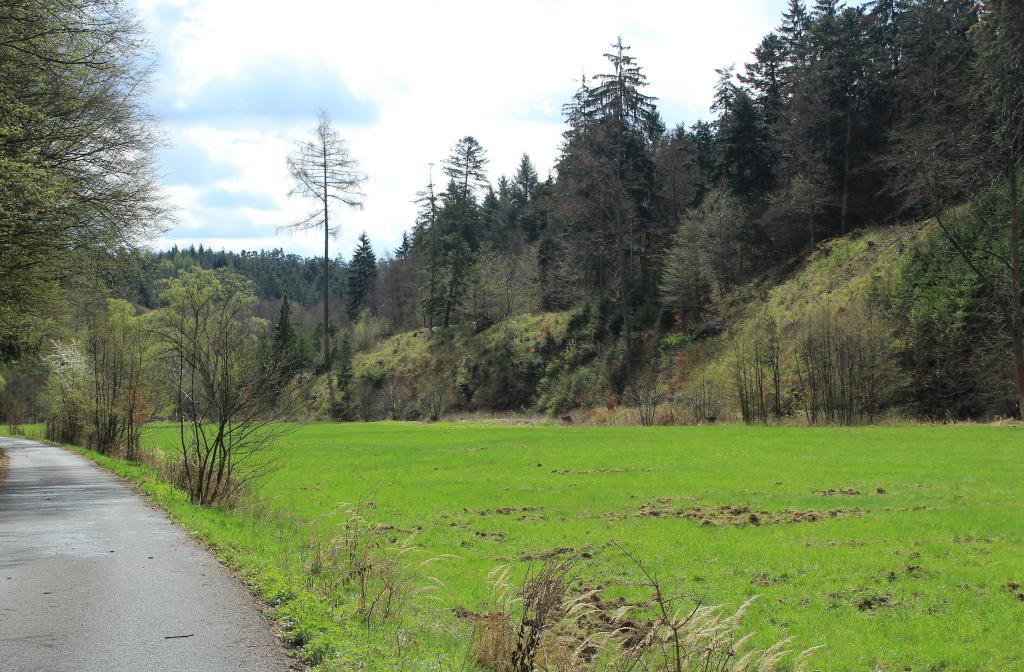 img00018.jpg