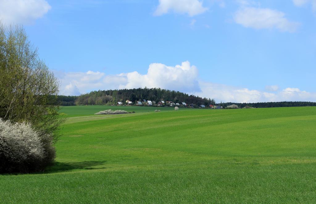 img00061.jpg
