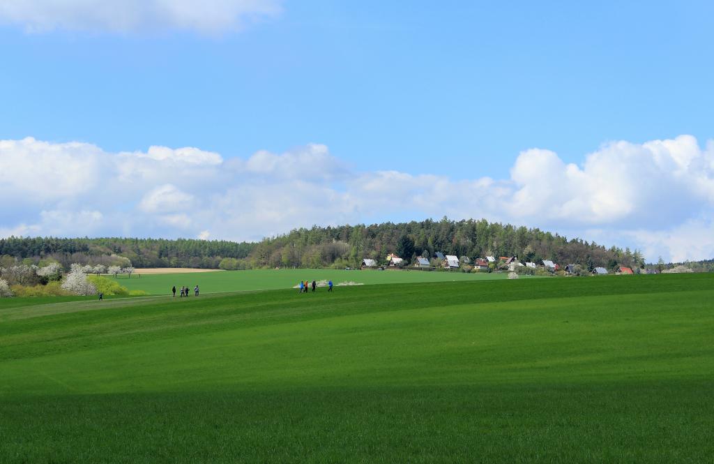 img00062.jpg
