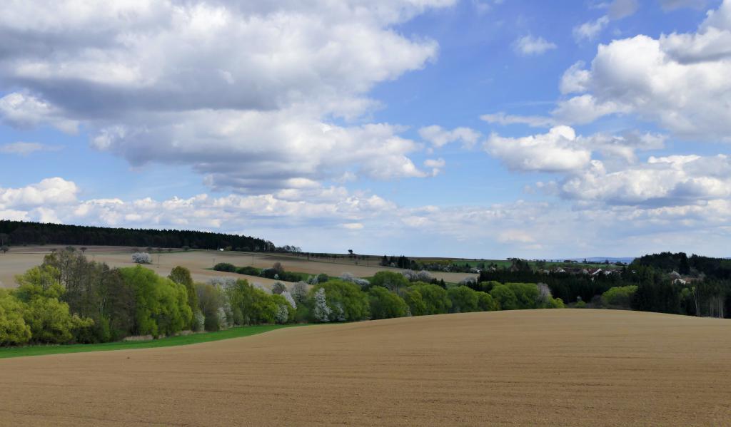 img00063.jpg