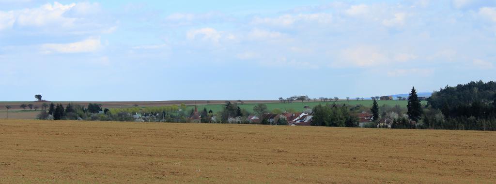 img00064.jpg