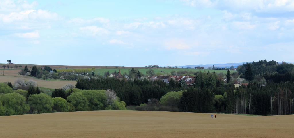 img00065.jpg