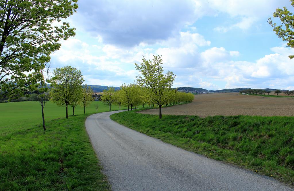 img00067.jpg