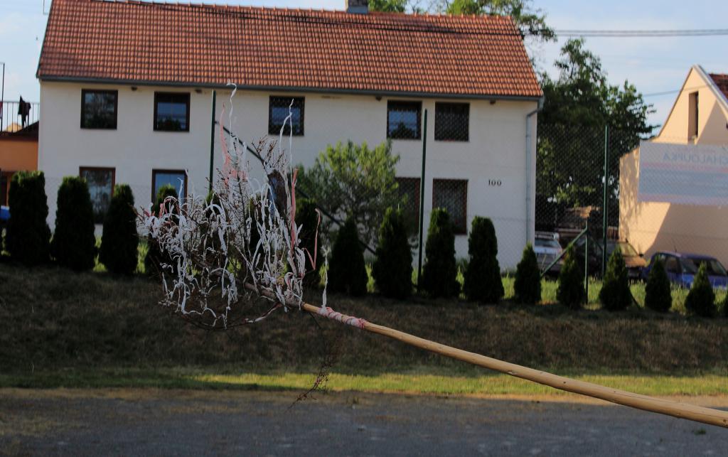 img00060.jpg