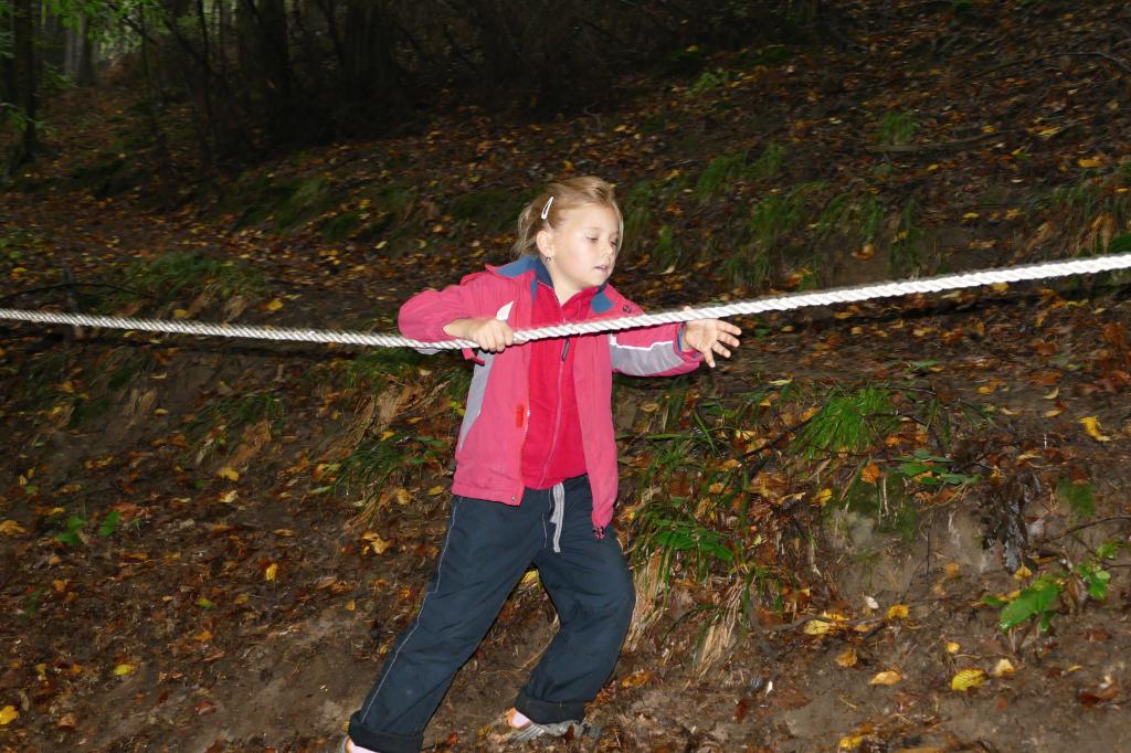 img00029.jpg