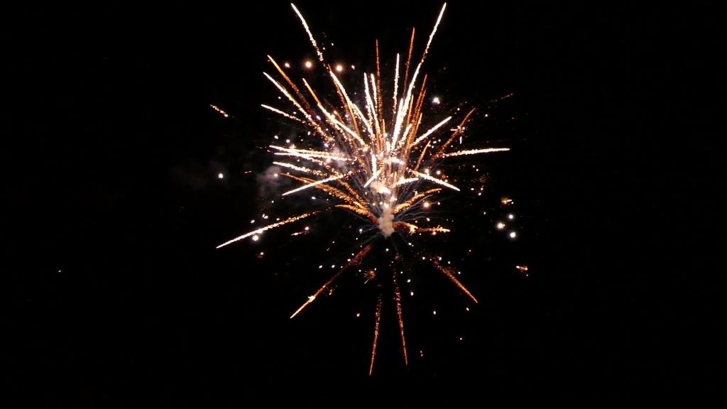 img00015.jpg