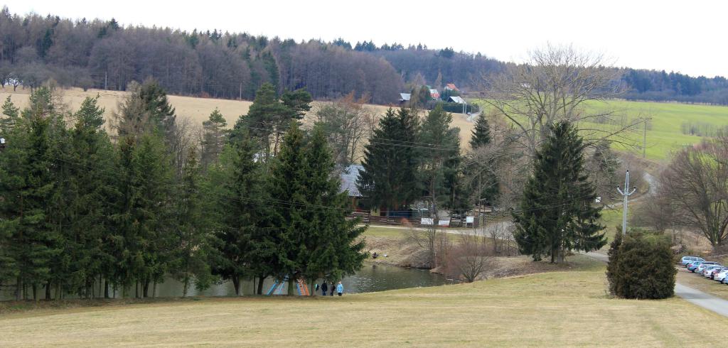 img00037.jpg