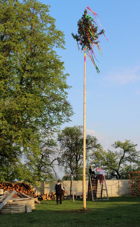 img00068.jpg