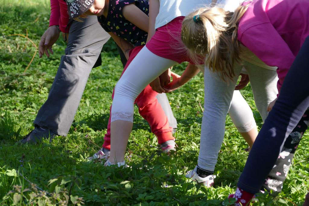 img00047.jpg