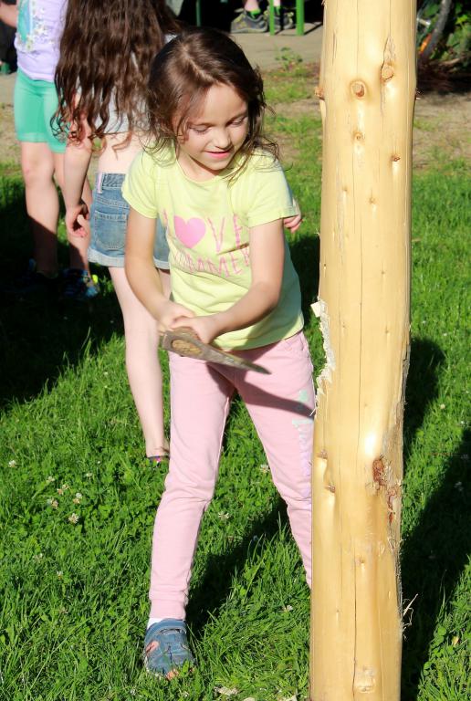 img00049.jpg