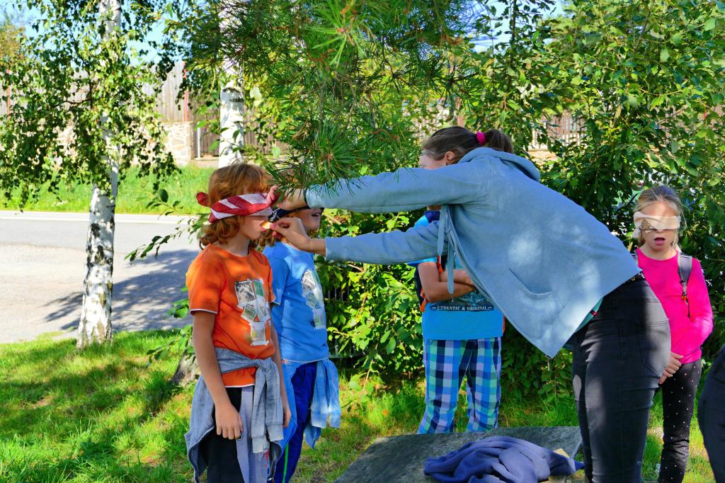 img00018.jpg