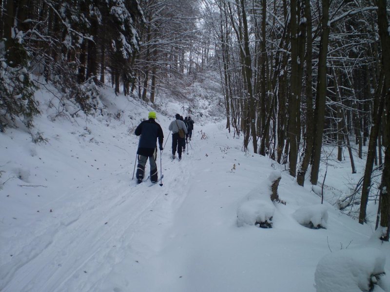 img00024.jpg