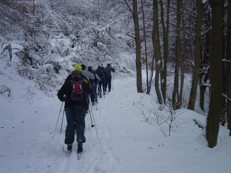 img00025.jpg