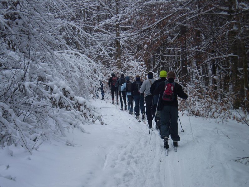 img00027.jpg