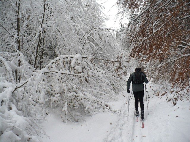 img00028.jpg