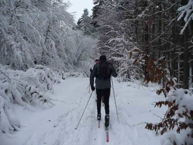 img00029.jpg
