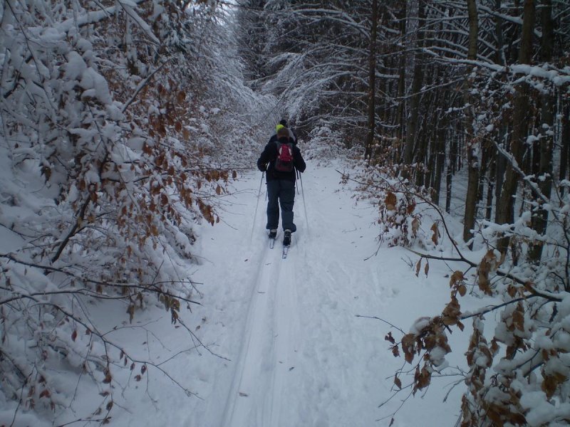 img00030.jpg