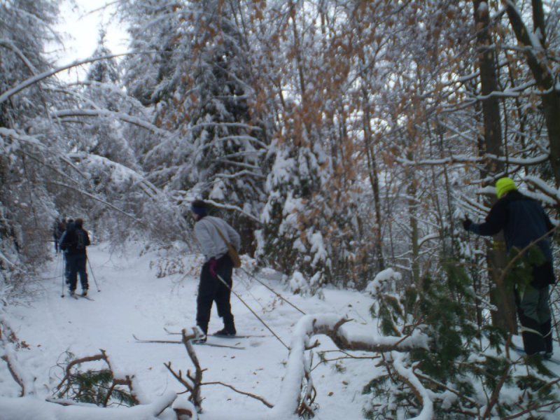 img00033.jpg