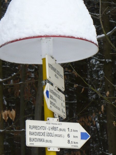 img00040.jpg