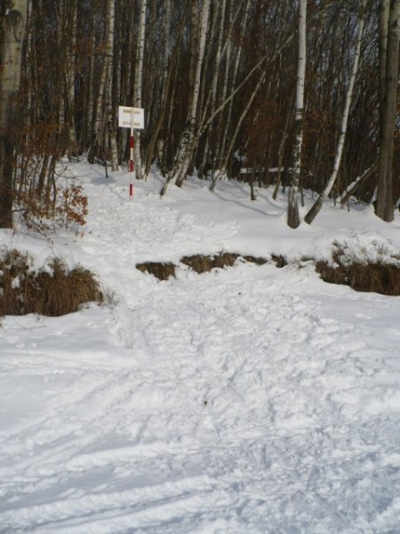 img00061.jpg