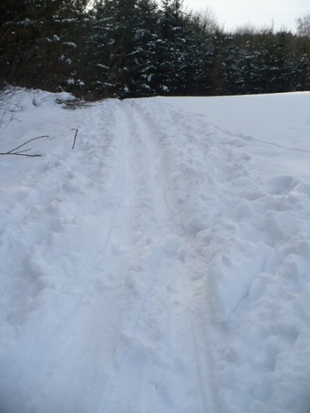 img00062.jpg