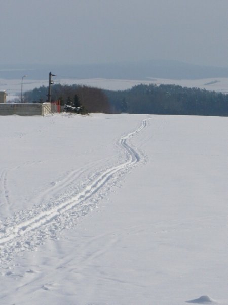 img00067.jpg