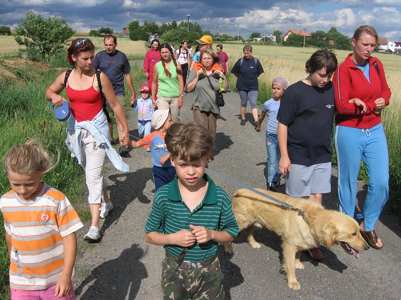 img00013.jpg