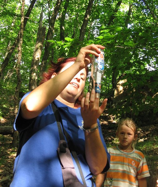 img00022.jpg