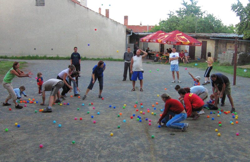 img00050.jpg