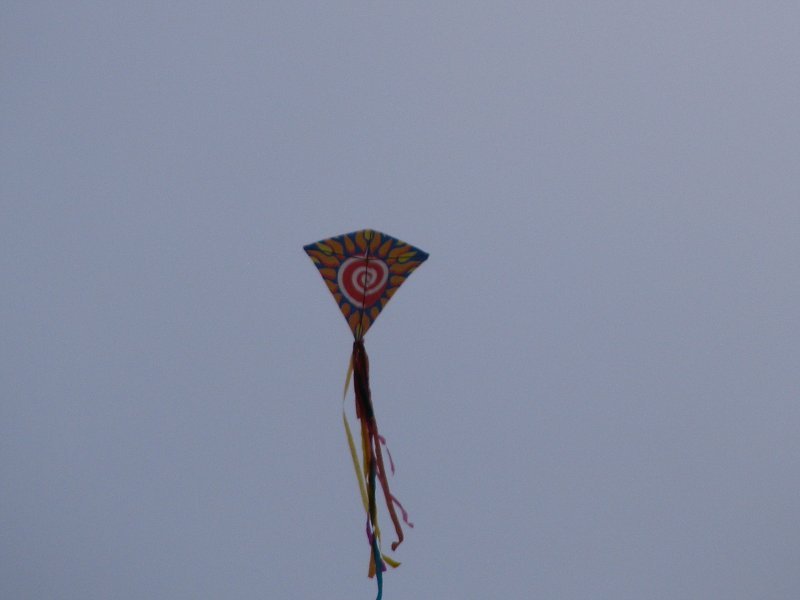 img00003.jpg