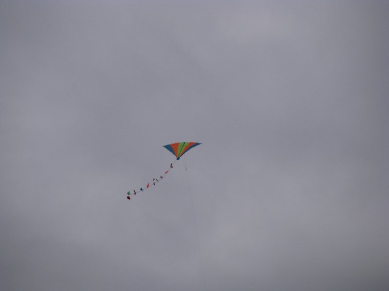 img00006.jpg