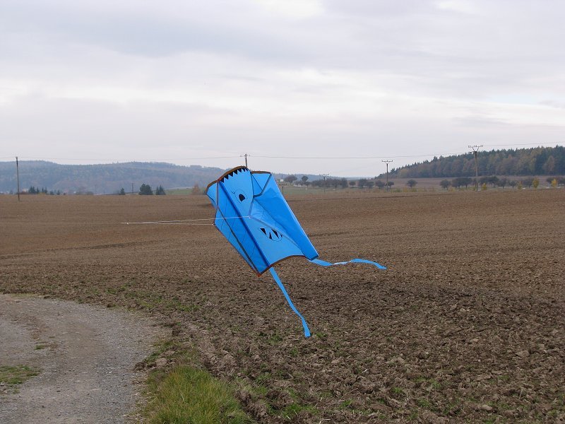 img00007.jpg