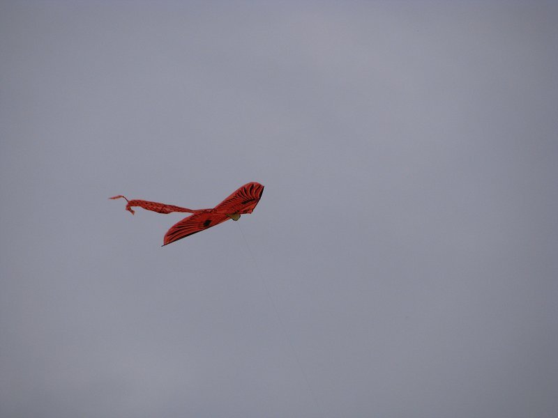 img00012.jpg