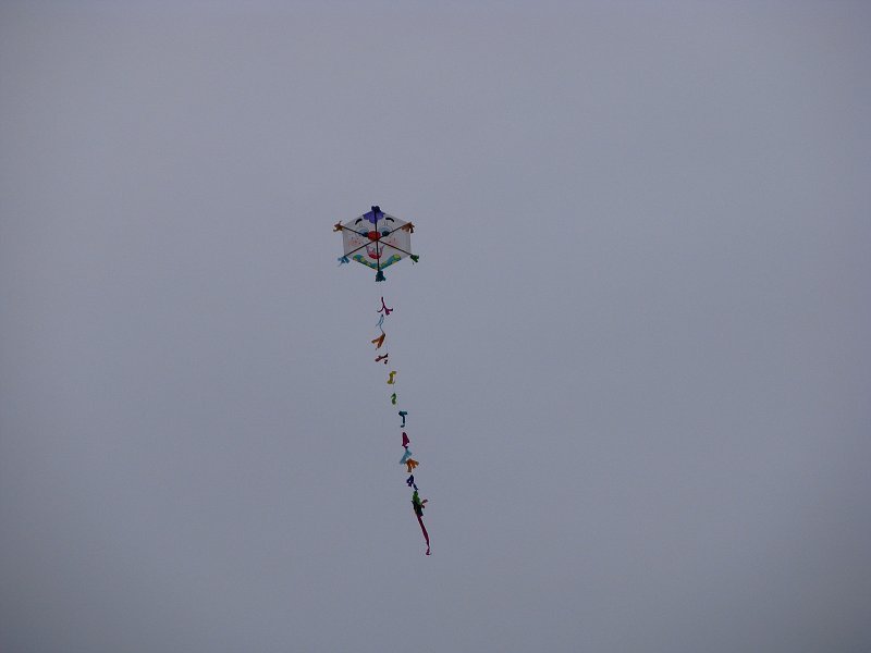 img00020.jpg