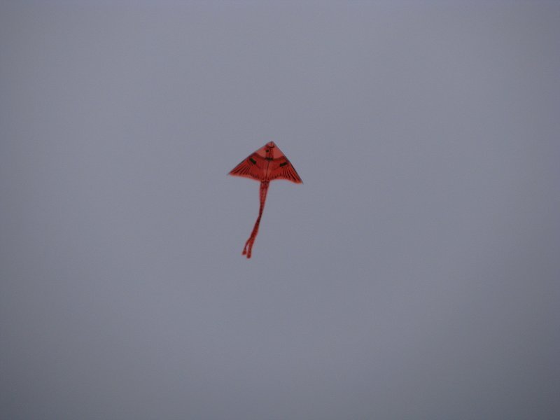 img00021.jpg