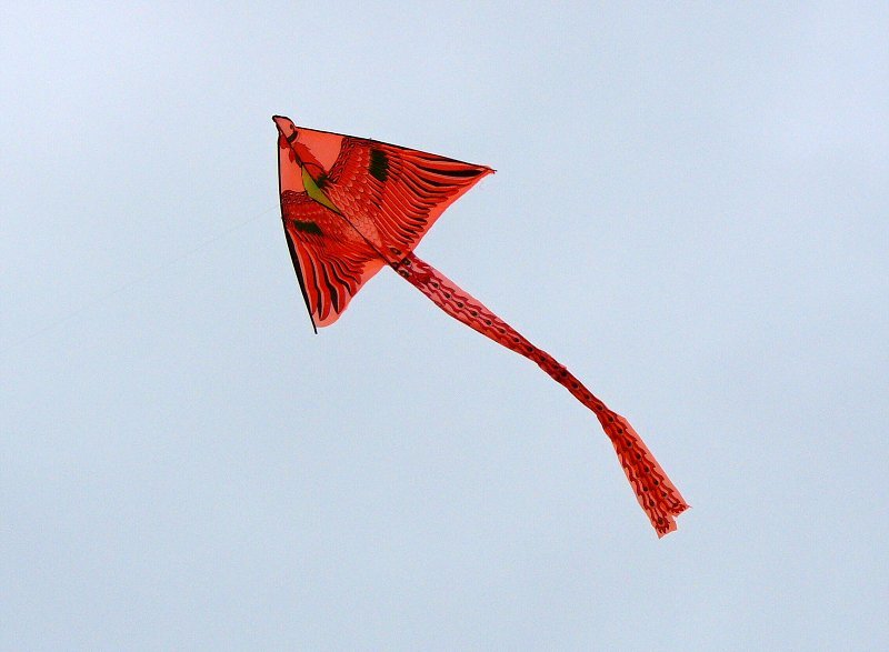 img00028.jpg