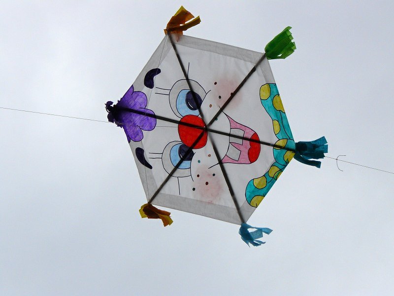img00029.jpg