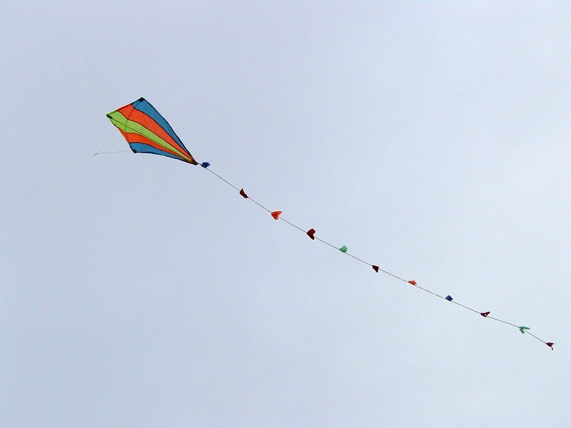 img00031.jpg