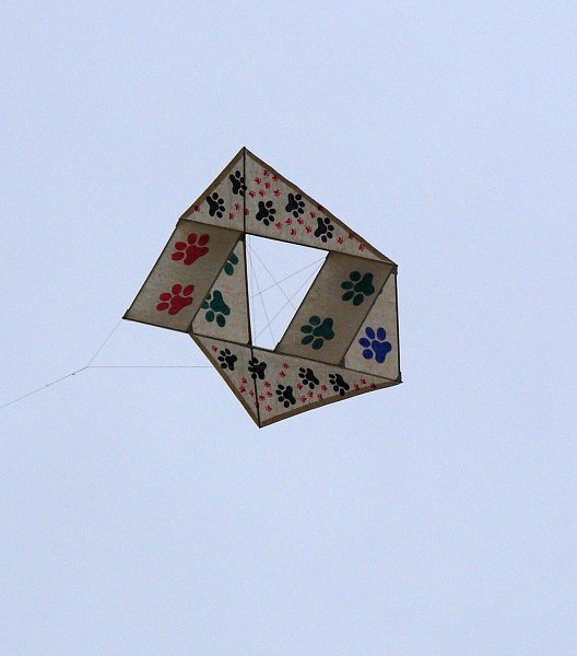 img00036.jpg